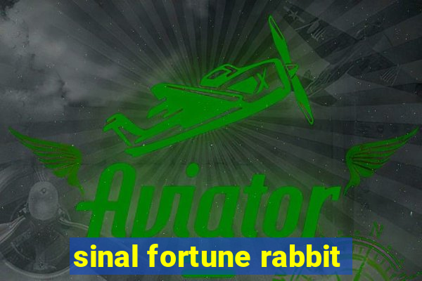 sinal fortune rabbit